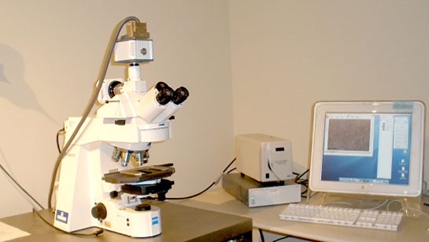 Zeiss Microscope