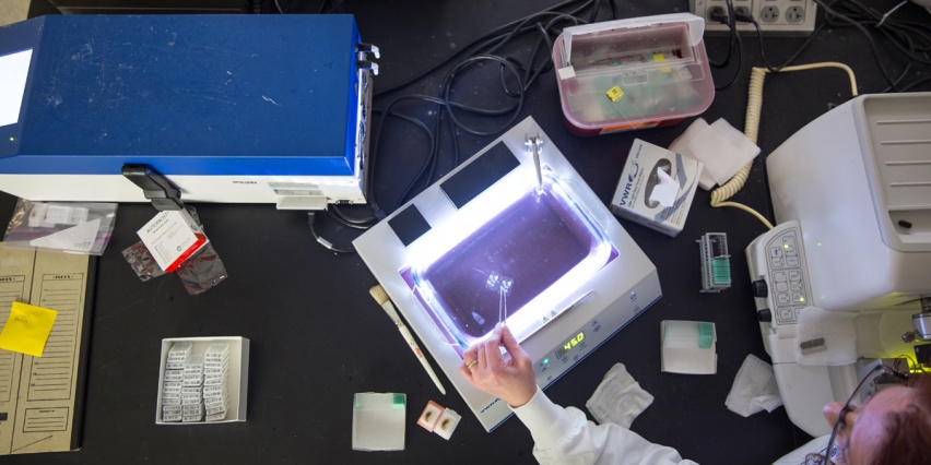 overhead view of a tissue sample being processed at a lab bench