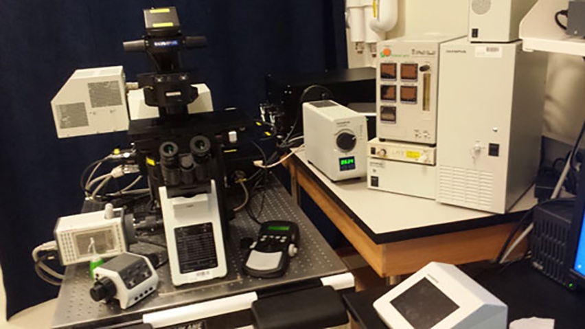 Olympus FV1200 Laser Scanning Confocal Microscope
