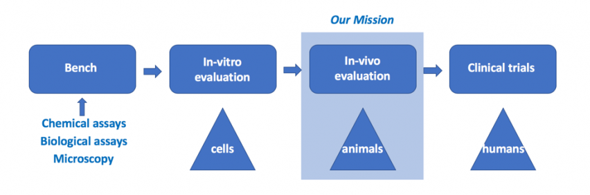 in vivo evaluation is our mission