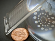 nanowell plate next to a penny for scale